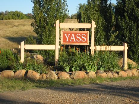 yass-1.jpg